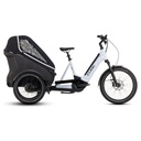 CUBE Trike Family Hybrid 1500